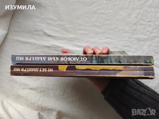 Не без дъщеря ми / От любов към дъщеря ми - Бети Махмуди, снимка 3 - Художествена литература - 52577606