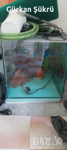 продавам аквариум