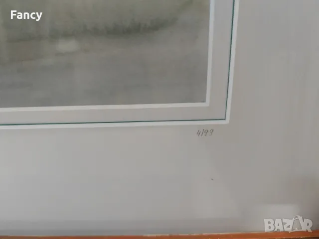 Литография в рамка, картина, снимка 7 - Картини - 48884625