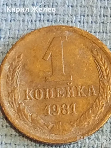 Стара монета 1 копейка 1981г. СССР рядка за КОЛЕКЦИЯ ДЕКОРАЦИЯ 43733, снимка 3 - Нумизматика и бонистика - 48163968