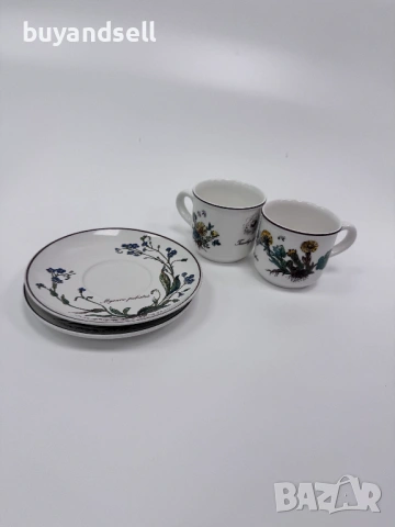 Villeroy & Boch Botanica чаши чинии, снимка 5 - Чинии - 53450355