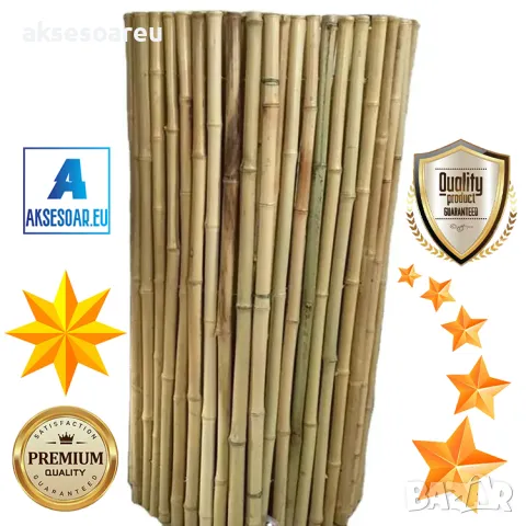 Висококачествени Семена от бамбук Moso Bambo декоративни растения за дома и двора бамбуков разсад, снимка 2 - Сортови семена и луковици - 49007699