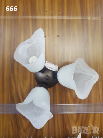 Полилей, снимка 4 - Полилеи - 41988263