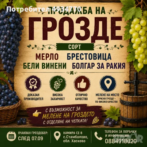 ПРОДАЖБА  ПРОДАЖБА НА ГРОЗДЕ В ГОЛЕМИ КОЛИЧЕСТВА