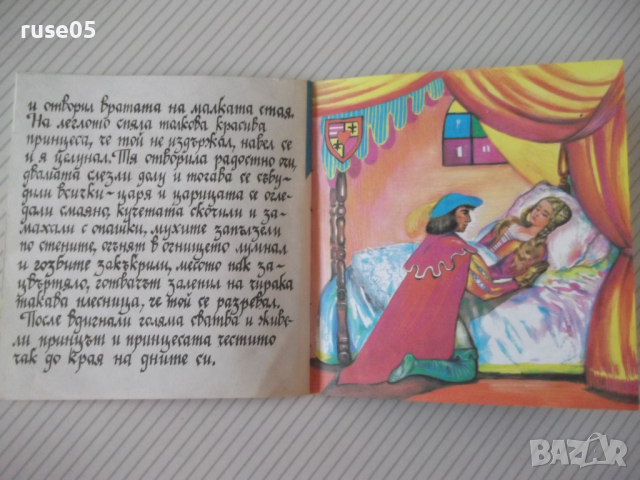 Книга "Спящата красавица - Братя Грим" - 20 стр., снимка 6 - Детски книжки - 36437432