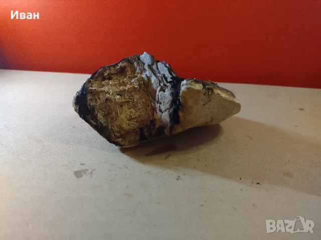 Дървесни гъби за декорация , снимка 5 - Други - 49038065