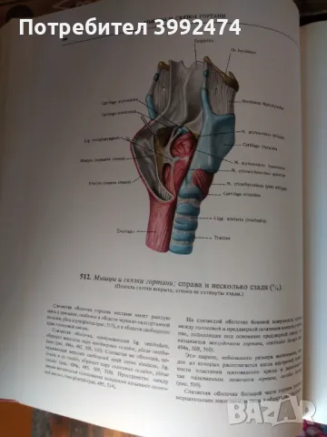 Атлас по анатомия на човека, 2-ри том на руски, снимка 3 - Специализирана литература - 49711737