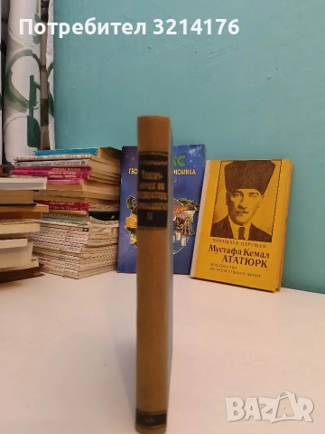 Мустафа Кемал Ататюрк - Парашкев Парушев, снимка 3 - Художествена литература - 53218172
