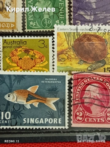 Стари пощенски марки от цял свят смесени ЖИВОТНИ,РИБКИ, ЛИЧНОСТИ за КОЛЕКЦИЯ 51966, снимка 9 - Филателия - 53227333