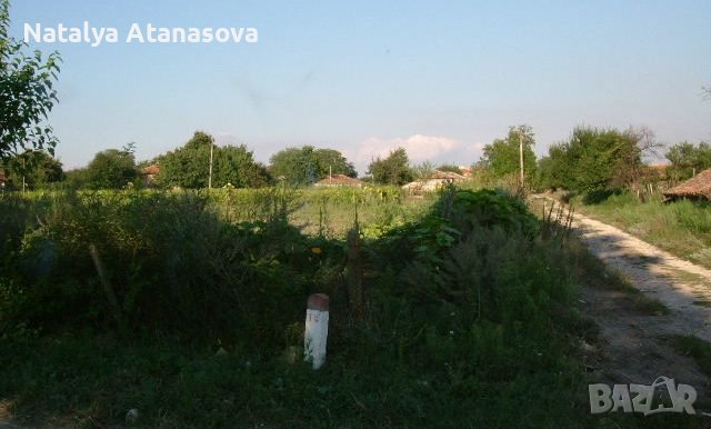 Селска къща Златия, снимка 7 - Къщи - 39719869