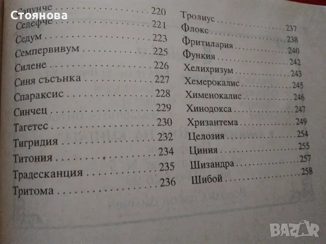 Книги за цветята: "Цветя в градината" Анка Дончева и "400 цветя за дома" , снимка 10 - Специализирана литература - 49783135