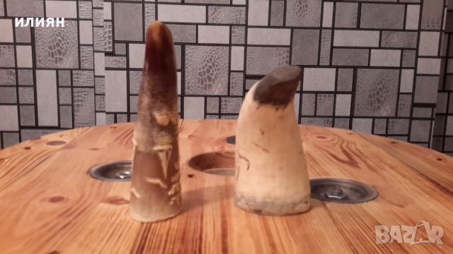 Два броя рога интересни за декорация 15лв за брой , снимка 3 - Декорация за дома - 36513745