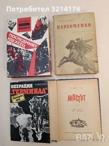Пархоменко - Всеволод Иванов
