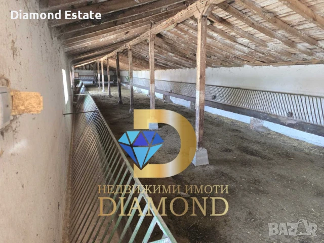 Овцеферма в село Голямо Асеново обл. Хасково, снимка 6 - Други - 50680863