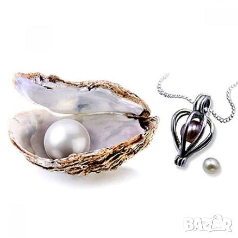 Колие с естествена перла в мида – оригинален подарък за жена, снимка 3 - Романтични подаръци - 53196641