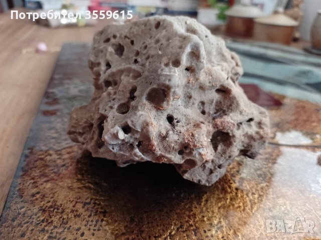 красив камък за декорация, аквариум или терариум от Йордания, снимка 3 - Декорация за дома - 41929136