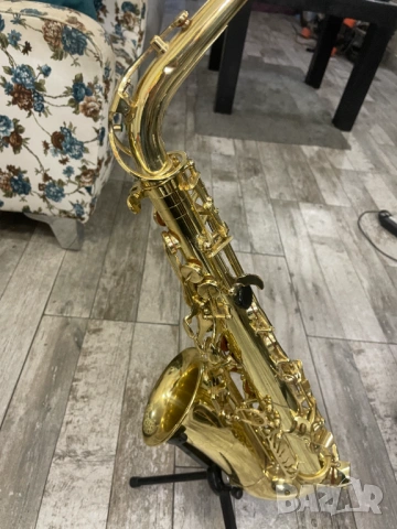 Stagg (Белгия) WS-AS-215 Eb Alto Sax w/ Case алто саксофон, снимка 2 - Духови инструменти - 53613356