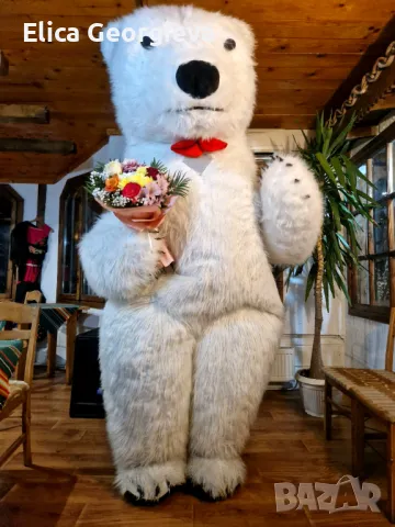 Бяло мече Варна, bialomeche, снимка 13 - Детегледачки, детски центрове - 48374405