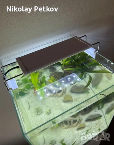 Led лампи за аквариум и терариум , снимка 2 - Оборудване за аквариуми - 53782402