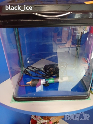 Аквариуми, снимка 5 - Аквариуми - 53203558