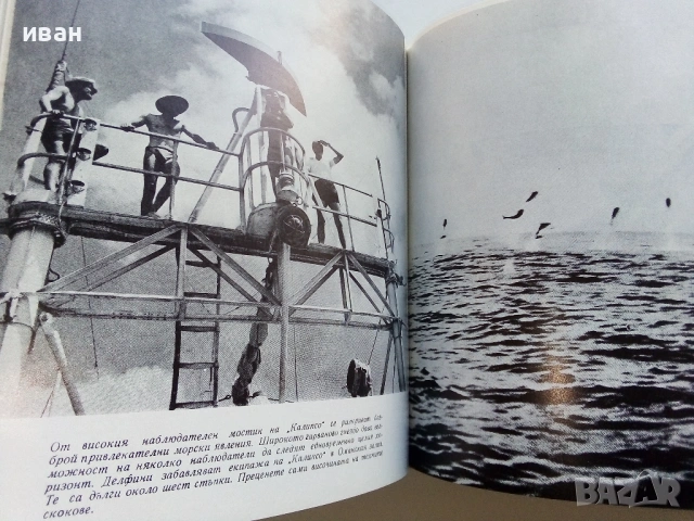 Живото Море - Жак-Ив Кусто - 1968г., снимка 4 - Художествена литература - 53249677