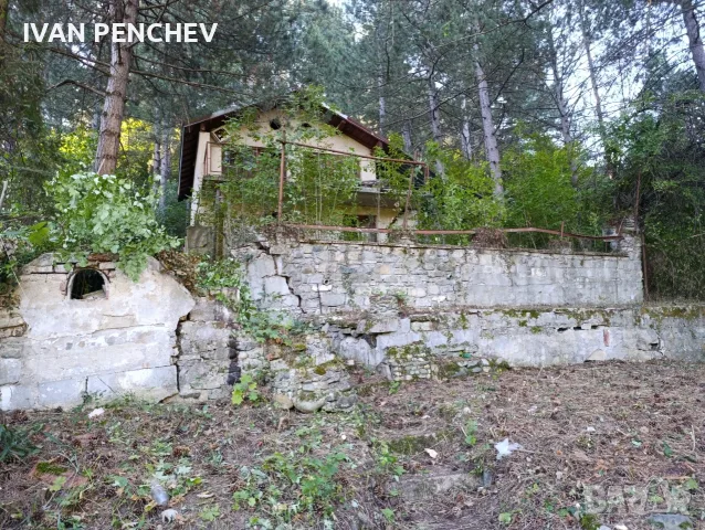 продавам имот в панчарево, снимка 2 - Парцели - 56162061