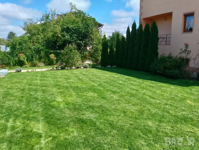 Поддръжка На Зелени Площи - *Топ Градинар*, снимка 7 - Други услуги - 39617797