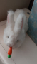 Продавам интерактивно зайче с морков