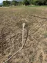3.3 дка имот на границата на селото, снимка 7