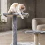 Многоетажна катерушка за котки , снимка 3