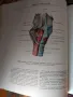 Атлас по анатомия на човека, 2-ри том на руски, снимка 3