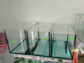 Големи аквариуми Двойно стъкло - Различни размери, снимка 1 - Аквариуми - 44775943