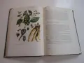 Книга Фитотерапия Лечение с Билки Йорданов 1966, снимка 5
