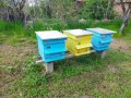 Пчелни кошери с прашецоуловители-50 броя