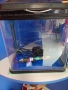 Аквариуми, снимка 5