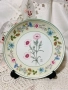 порцеланова чиния за стена , снимка 2