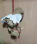 Плюшено мече със сърце, за Свети Валентин, снимка 4