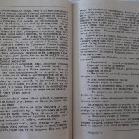 Книга "Исперихъ - книга 2 - Петъръ Карапетровъ" - 96 стр., снимка 4 - Художествена литература - 41497113