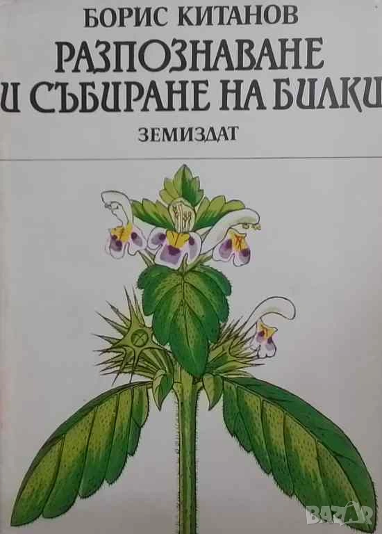 Разпознаване и събиране на билки Борис Китанов, снимка 1