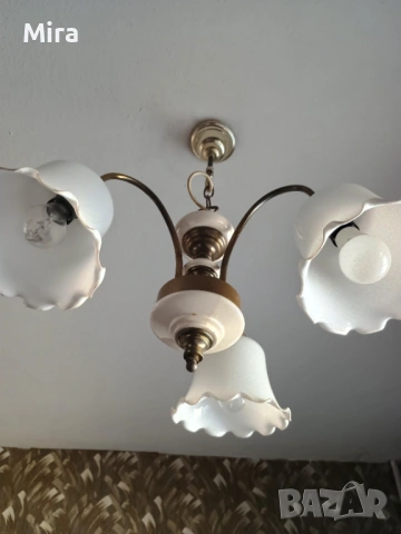 Полилей, снимка 3 - Полилеи - 53131378