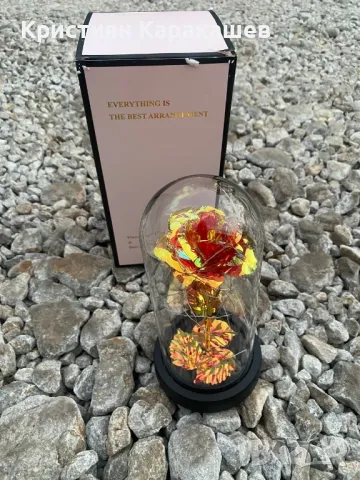 Вечна роза в стъкленица