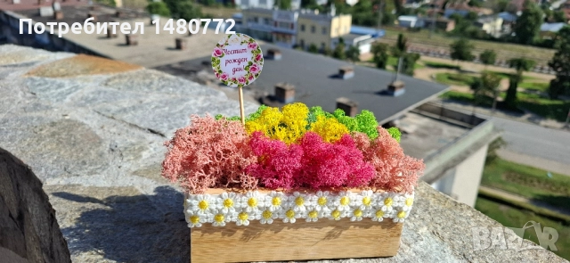 Малка бамбукова кашпа, снимка 7 - Декорация за дома - 51470258