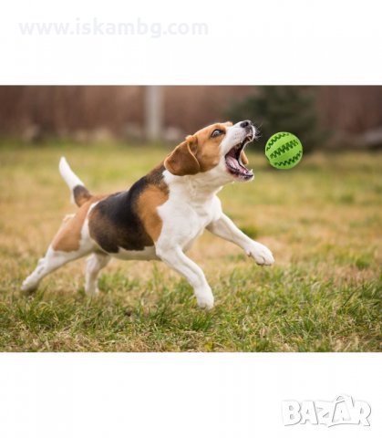 ДЕНТАЛНА ИГРАЧКА ТОПКА 5 И 7 СМ. - код 2731, снимка 7 - За кучета - 33920781