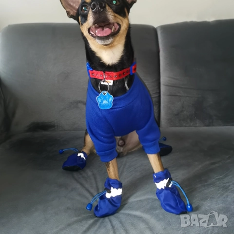 Обувки за малки и големи кучета. Кучешки обувки. Чорапи за куче

, снимка 8 - За кучета - 52542582