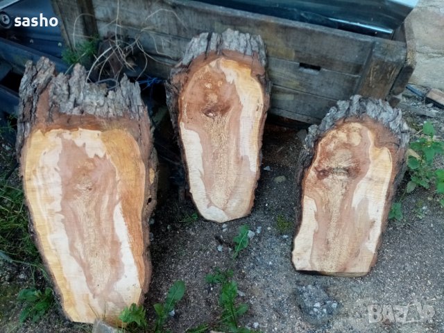 янове орех,дъб,бук,акация,догласка, снимка 5 - Декорация за дома - 39580747