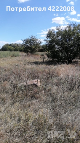 УПИ с двоен статут, снимка 2 - Парцели - 51717622