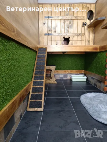 Хотел за котки Уговет , снимка 5 - Ветеринари и услуги - 49763338