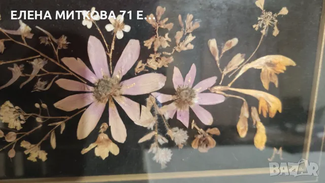 2 картини композиции от изсушени цветя с паспарту и метална рамка остъклени, снимка 4 - Картини - 48733885