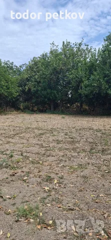 Дворно място в село Манолско Конаре , снимка 14 - Парцели - 56149259