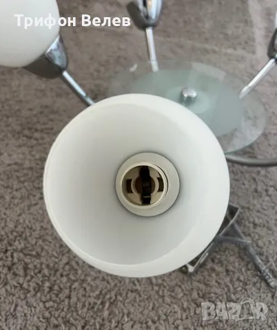 Продавам Полилей, снимка 6 - Полилеи - 49108511